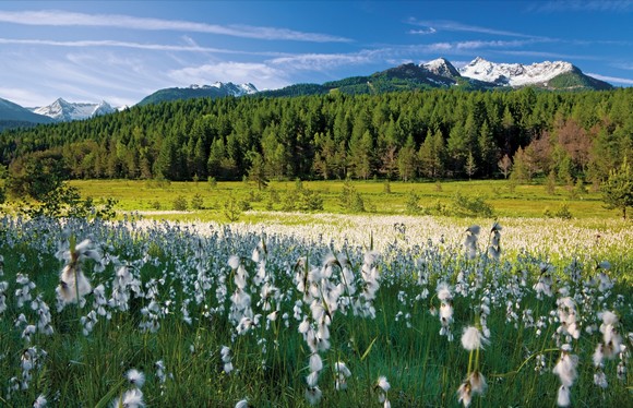 Aprica estate2018A