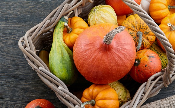 Buon Ricordo Zucca580