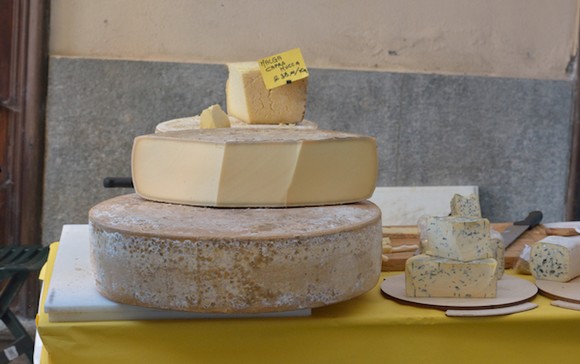 Coccocheese580