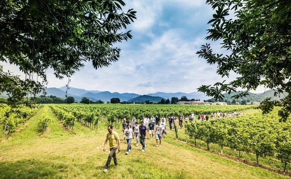 Franciacorta Summer Festival 3 ph N.Tirelli580