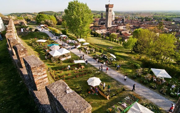 Lonato Fiori nella Rocca580