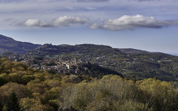amaita autunno580