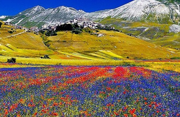castelluccio580