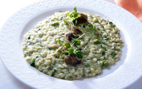 festival della gastronomia580A