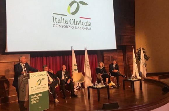 italia olivicola580
