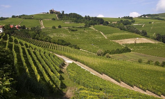 langhe580