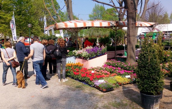 ortoflora580