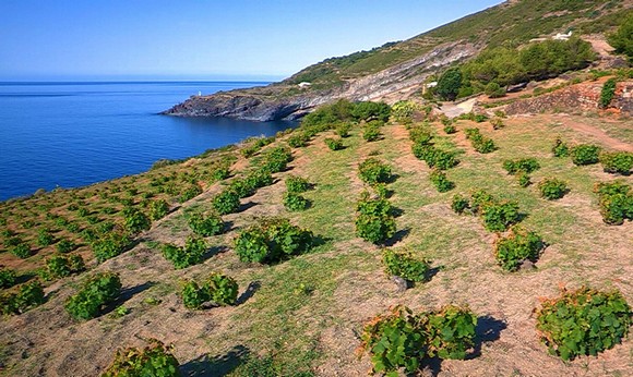 pantelleria doc festival580