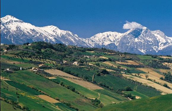 territorio azienda persiani580