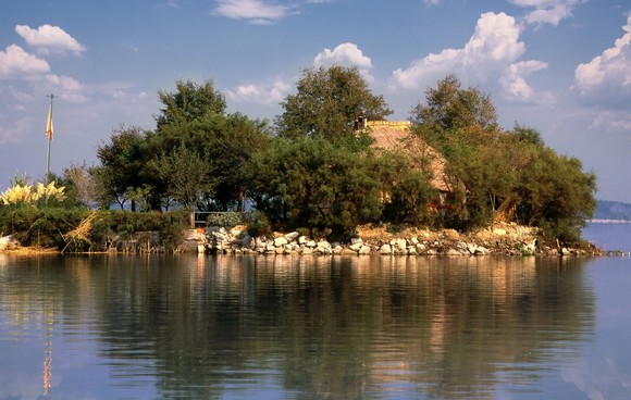 3 Laguna phNicoGaddi grado580