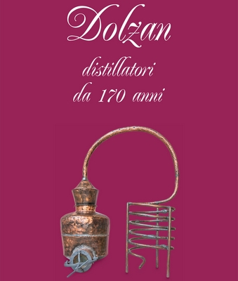 Copertina libro dolzan 600