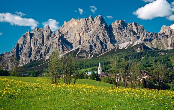 Cortina summer580