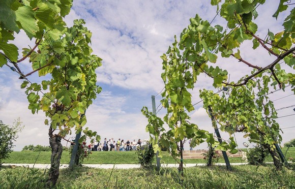 Franciacorta Summer Festival  ph FabioCattabiani580