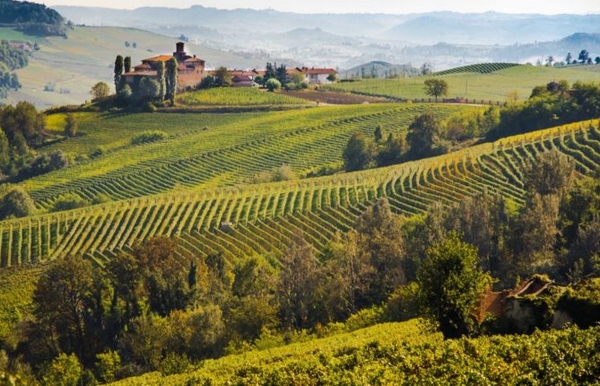 Monferrato 600