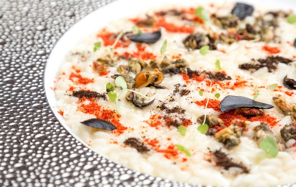 Taste of piatto 580