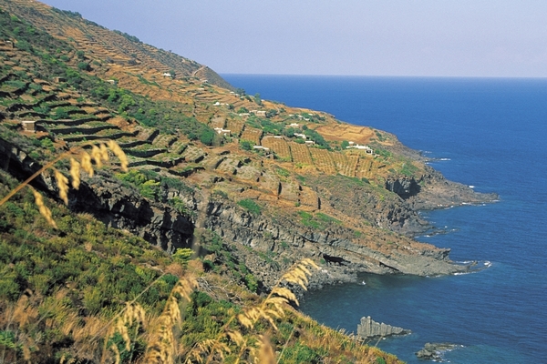 Terraces pantelleria 600