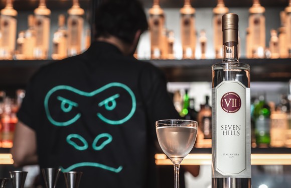 VII Hills Italian Dry Gin harmony580