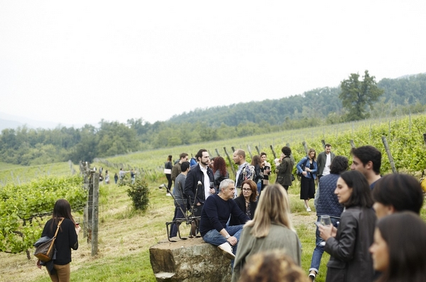 Vigna e persono 600