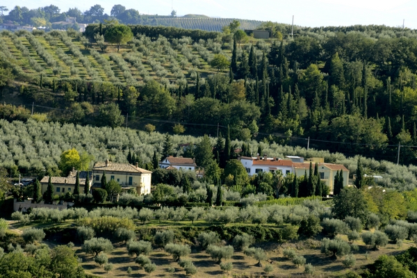 azienda persiani