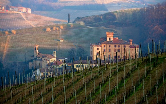 barolo580