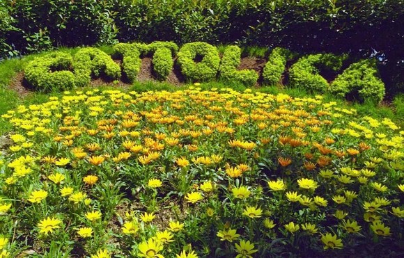 cattolica-in-fiore580