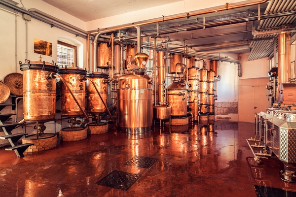 distilleria dolzan 600
