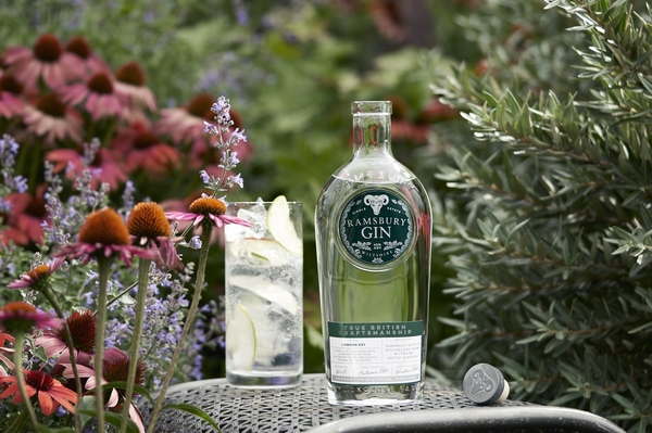 drink The Quincessential Gin  Tonic 600