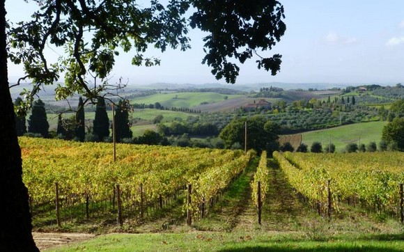 orcia wine festival580A
