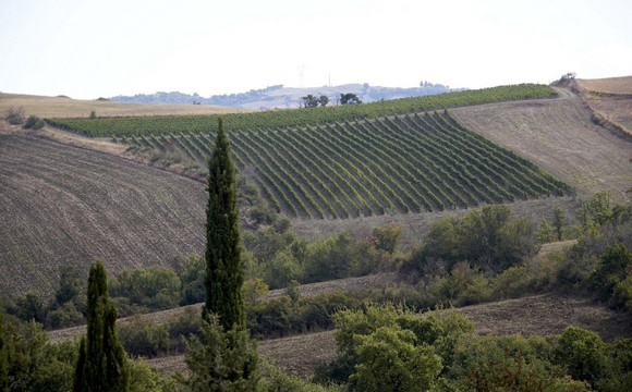orcia wine festival580B