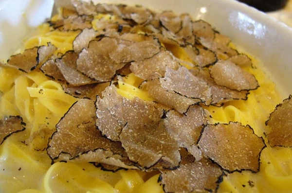 tagliolini 600