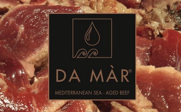 AsinaLuna- Da Mar logo 580
