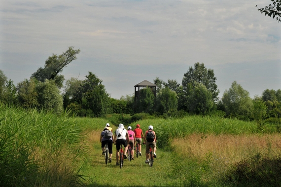 Consorzio Visit Ferrara - Valli di Argenta - pedalata 570