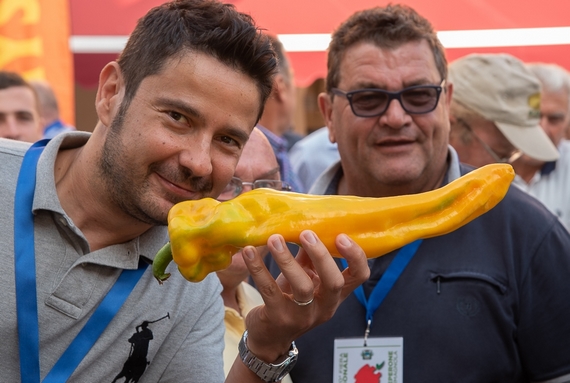 Fiera-Peperone-Corno-di-Bue-Concorso tinto 570