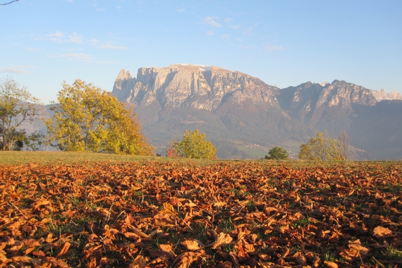 Hotel Weihrerhof - Foliage - Credit Associazione Turistica del Renon 570