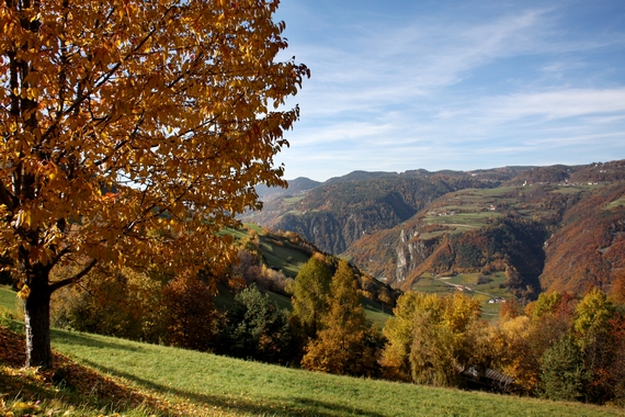 Romantik Hotel Turm - Foliage 570