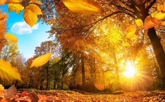 autunno belond 2020 570
