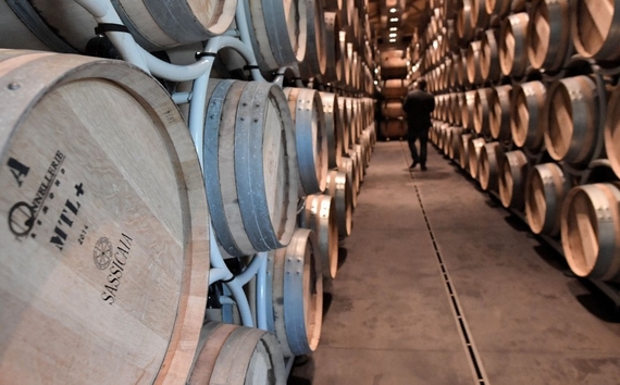 cantine sassicaia 570