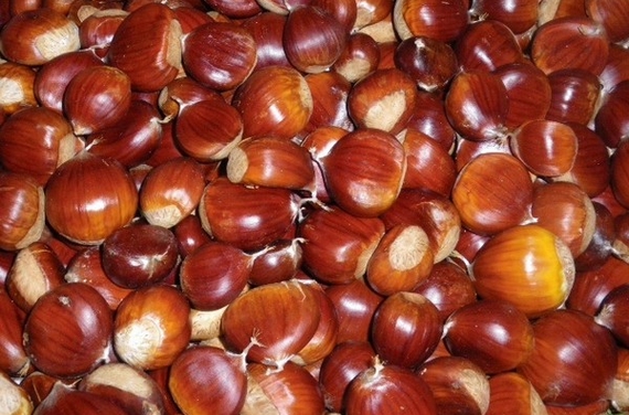 castagna-montella piena 570