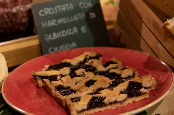 crostata planetaria 600