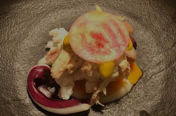 gallina padovana Radici 600