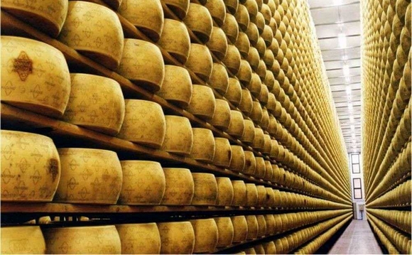 grana padano scaffali 580