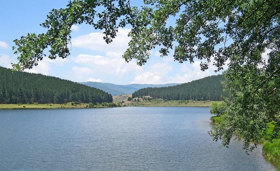 parco-nazionale sila liquirizia 570