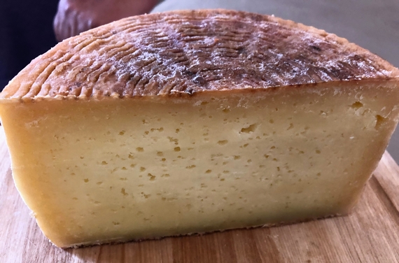 pecorino camasciano slow food 570