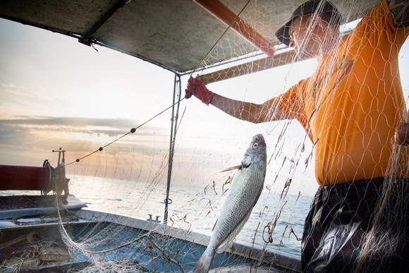 pesca2 Comune di Caorle