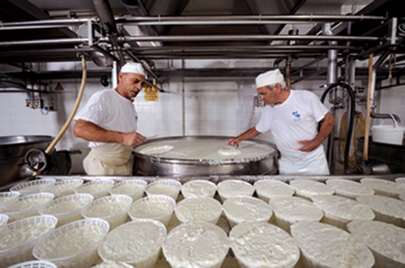ricotta romana 2 570