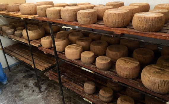 scaffale forme pecorino slow food 570