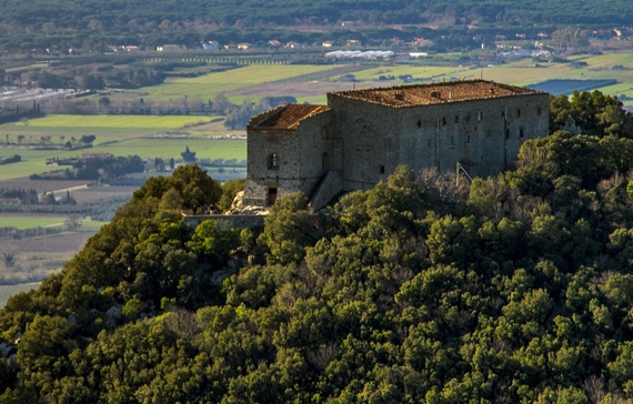tenuta san guido sassicaia 570