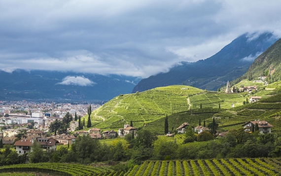 territorio vino magdalener 570