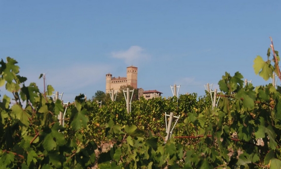 vigneti castello barolo 570