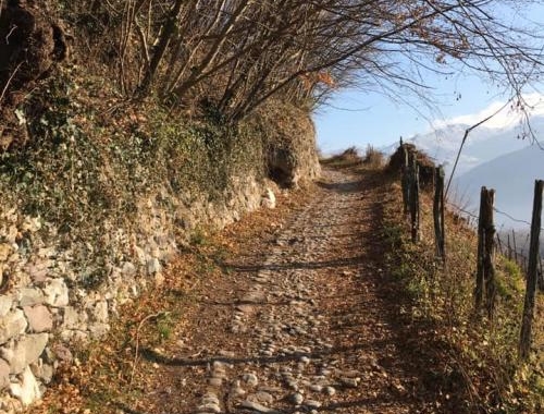 -cammino-di-carlo-magno-in-valle-camonica- 2 570